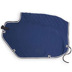 FOUGANZA Bedrová Deka Polar 560 Modrá