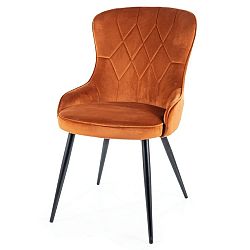 Sconto Jedálenská stolička LUTES sivá