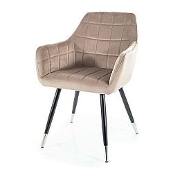 Sconto Jedálenská stolička NEXI sivá/čierna
