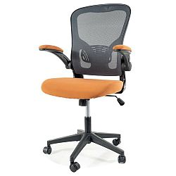 Sconto Jedálenská stolička PAONU 1 sivá