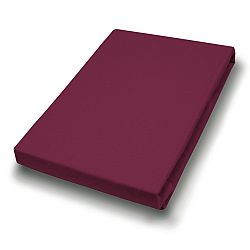 Sconto Prestieradlo TEDDY bordová, 100x200 cm