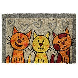 Sconto Rohožka MAČKY 40x60 cm, viacfarebná